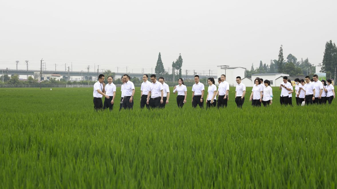 圖片2.png 圖片2.png